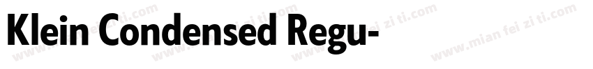 Klein Condensed Regu字体转换